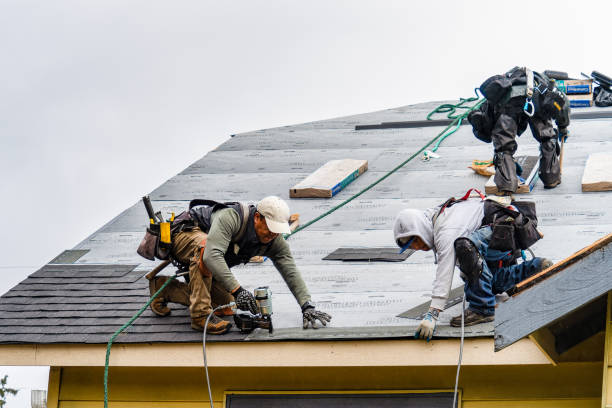 Professional Storm Damage Roof Repair technician working in Marcus, IA
